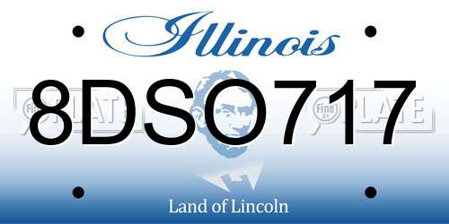 8DSO717 Illinois License Plate