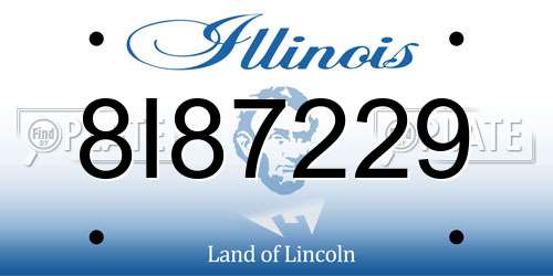8I87229 Illinois License Plate