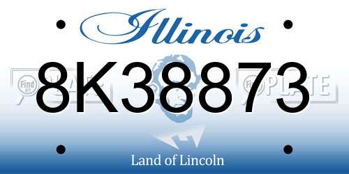 8K38873 Illinois License Plate