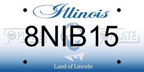8NIB15 Illinois License Plate