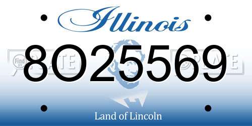 8O25569 Illinois License Plate