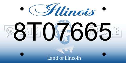 8T07665 Illinois License Plate