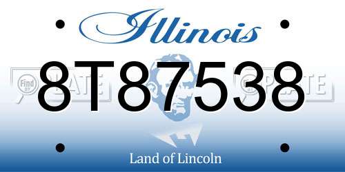 8T87538 Illinois License Plate