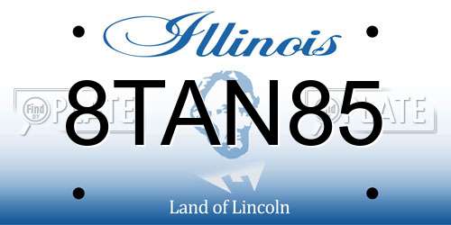 8TAN85 Illinois License Plate