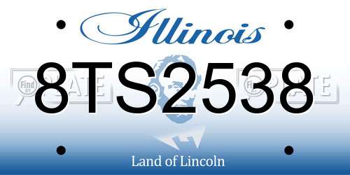 8TS2538 Illinois License Plate