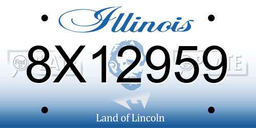 8X12959 Illinois License Plate