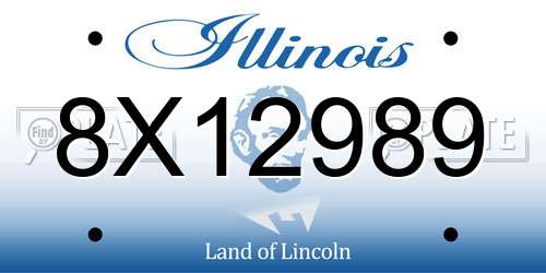 8X12989 Illinois License Plate