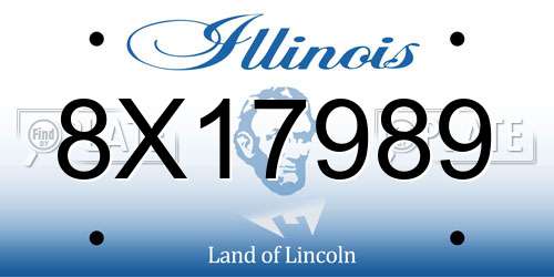 8X17989 Illinois License Plate
