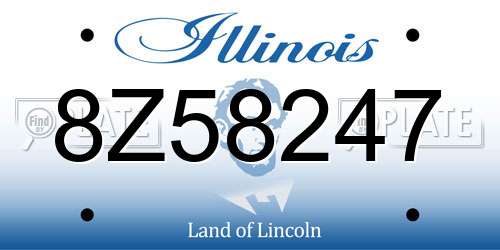 8Z58247 Illinois License Plate
