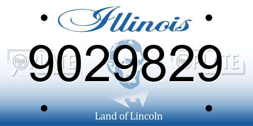 9029829 Illinois License Plate