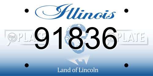 91836 Illinois License Plate