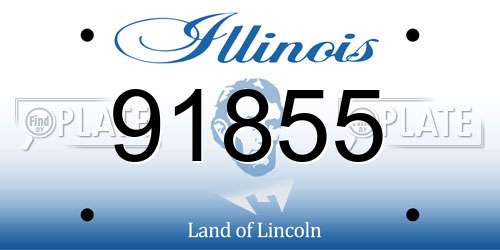 91855 Illinois License Plate