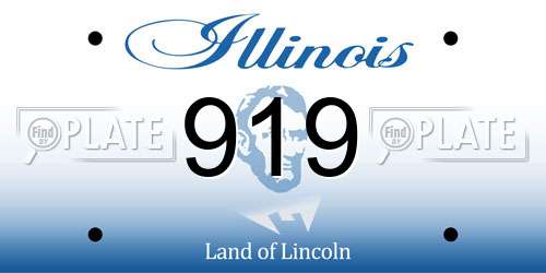 919 Illinois License Plate