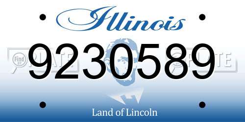 9230589 Illinois License Plate