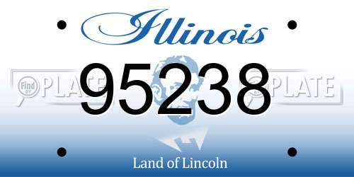 95238 Illinois License Plate
