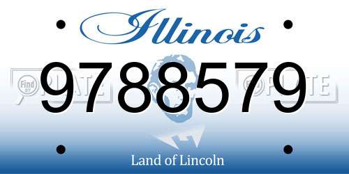 9788579 Illinois License Plate