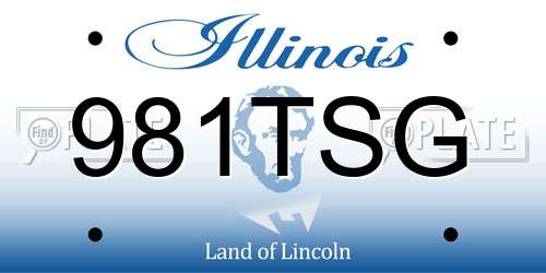 981TSG Illinois License Plate