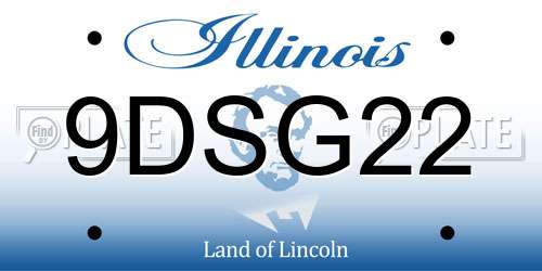 9DSG22 Illinois License Plate