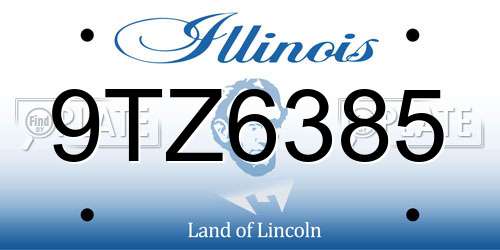 9TZ6385 Illinois License Plate