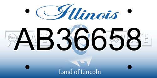 AB36658 Illinois License Plate