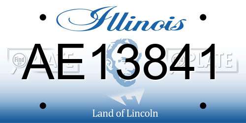 AE13841 Illinois License Plate