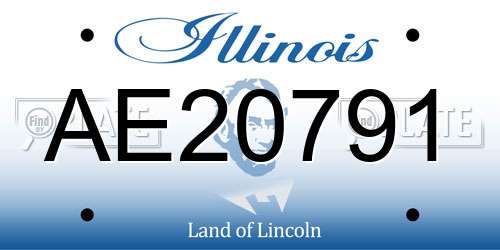 AE20791 Illinois License Plate