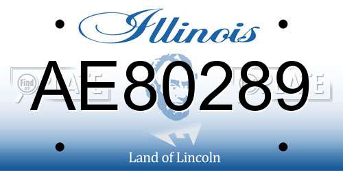 AE80289 Illinois License Plate