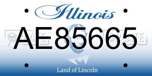 AE85665 Illinois License Plate