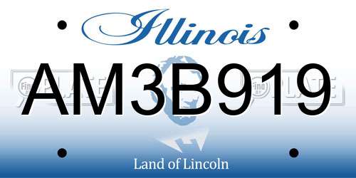 AM3B919 Illinois License Plate
