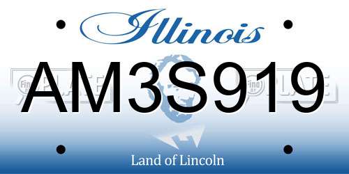 AM3S919 Illinois License Plate