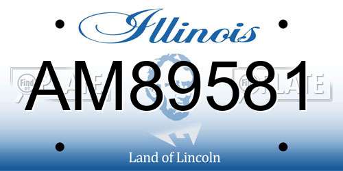 AM89581 Illinois License Plate