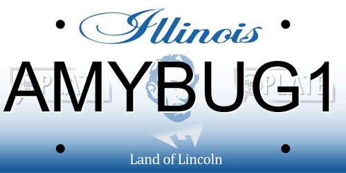 AMYBUG1 Illinois License Plate