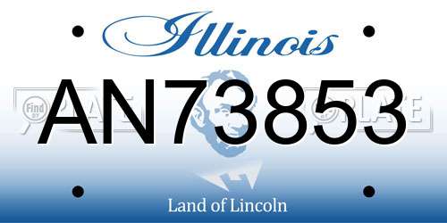 AN73853 Illinois License Plate