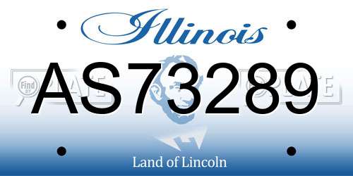 AS73289 Illinois License Plate