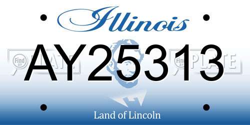 AY25313 Illinois License Plate