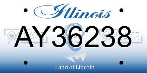 AY36238 Illinois License Plate