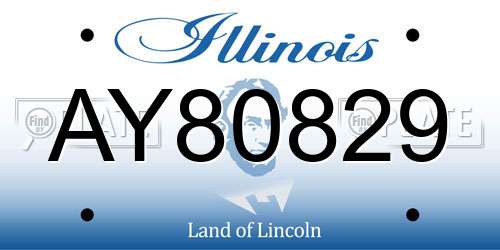 AY80829 Illinois License Plate
