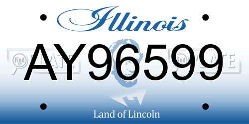 AY96599 Illinois License Plate