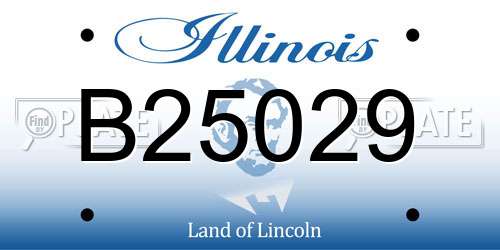 B25029 Illinois License Plate