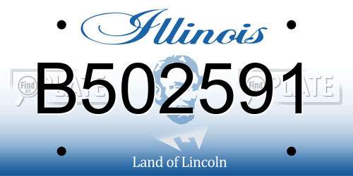 B502591 Illinois License Plate