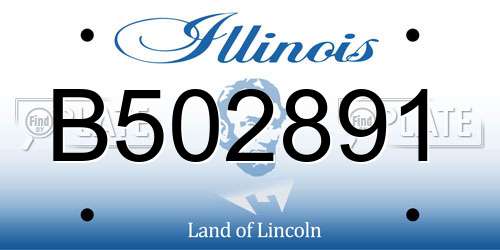 B502891 Illinois License Plate
