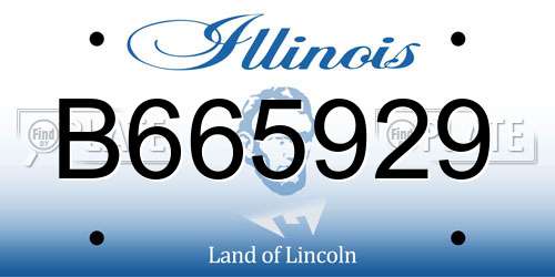 B665929 Illinois License Plate