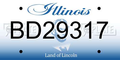 BD29317 Illinois License Plate
