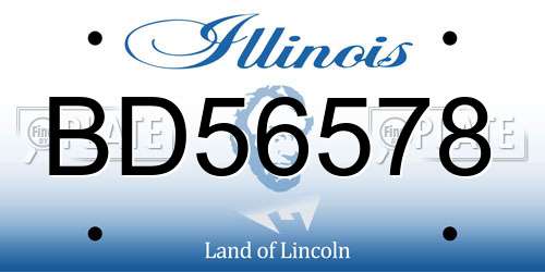 BD56578 Illinois License Plate