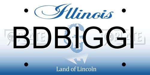 BDBIGGI Illinois License Plate