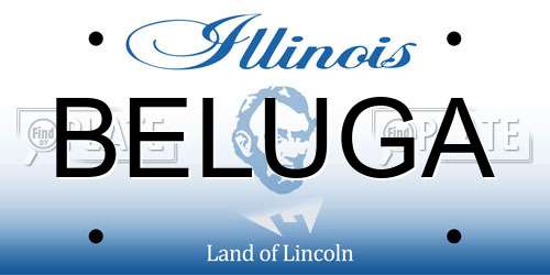 BELUGA Illinois License Plate