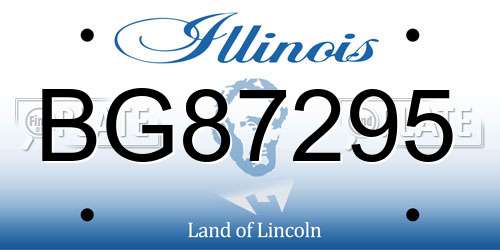 BG87295 Illinois License Plate