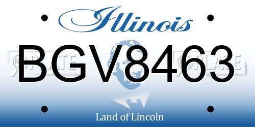 BGV8463 Illinois License Plate