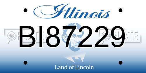 BI87229 Illinois License Plate