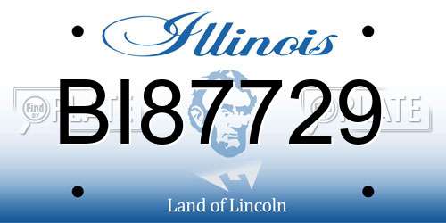 BI87729 Illinois License Plate